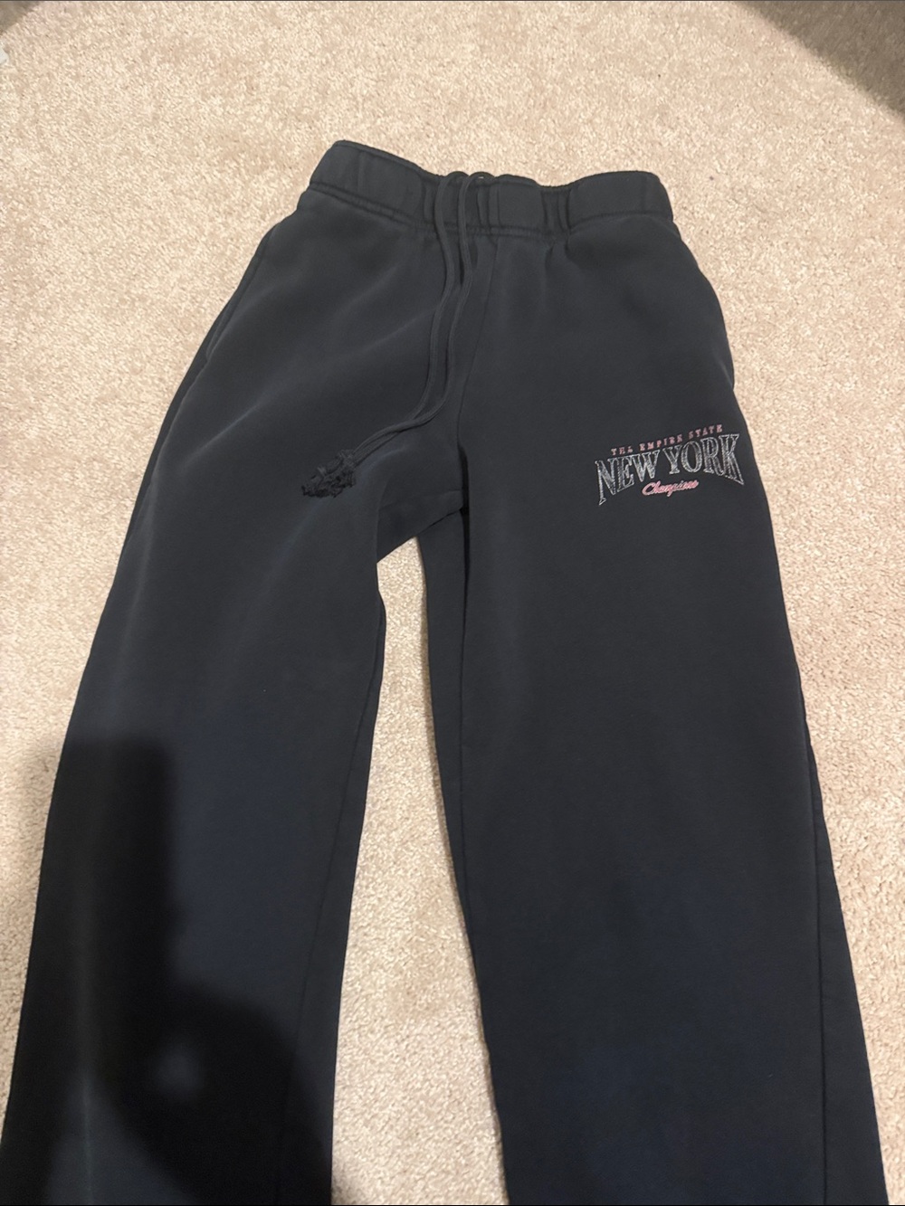 Pacsun Champion sweats